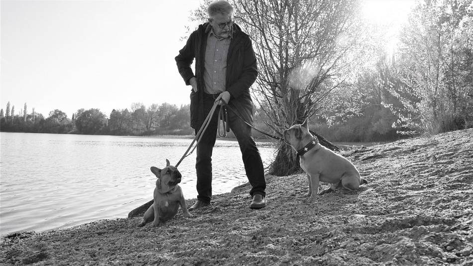 Hunde an der Leine (Symbolbild) Mann mit zwei Hunden beim Spaziergang