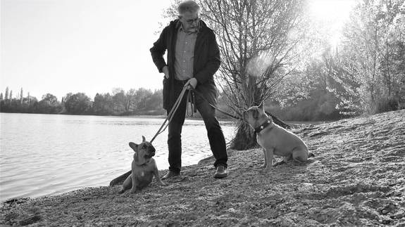 Mann mit zwei Hunden beim Spaziergang